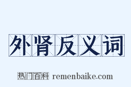 外肾反义词是什么意思的图片